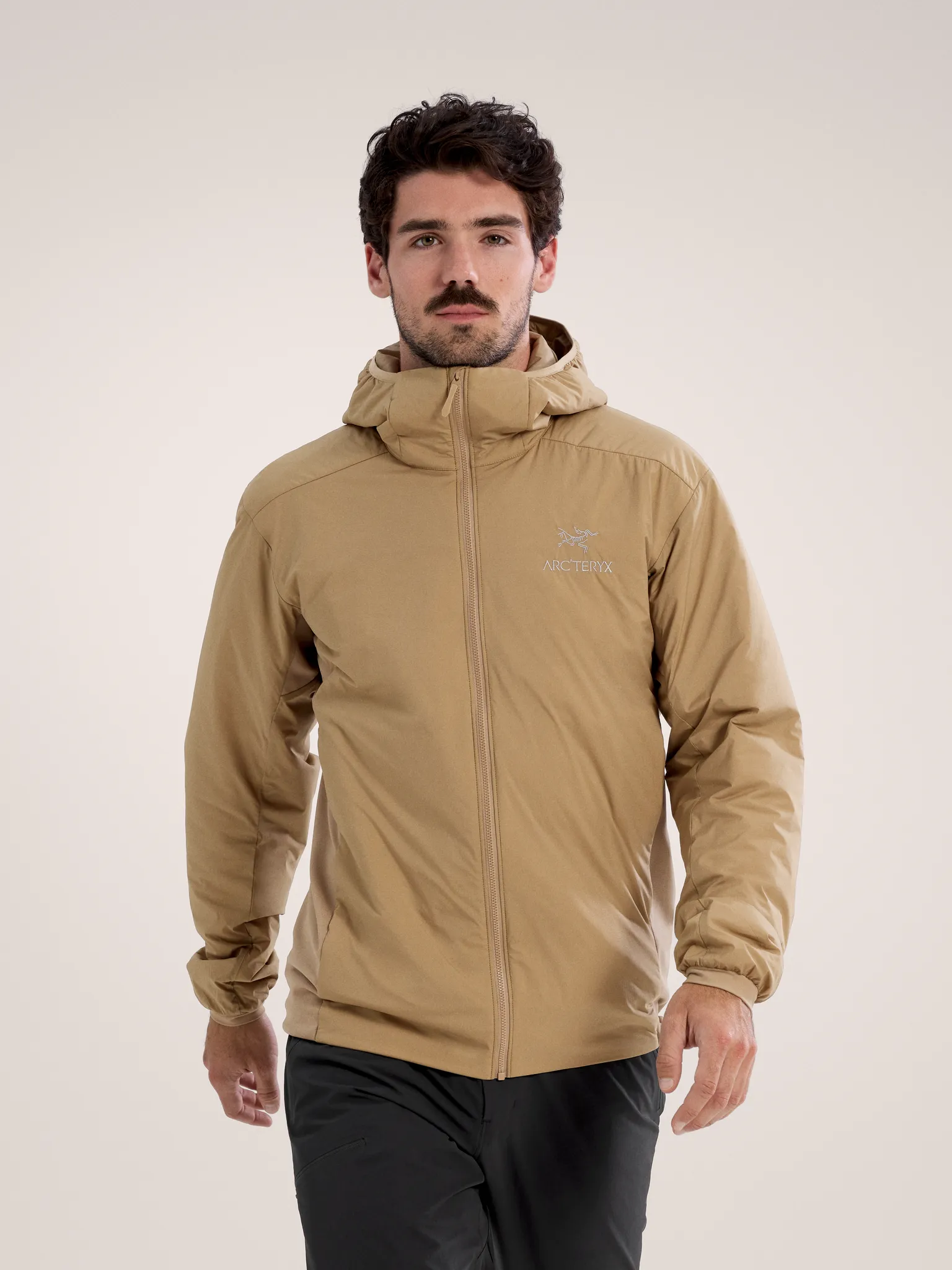 Arc'teryx Men's Atom Hoody